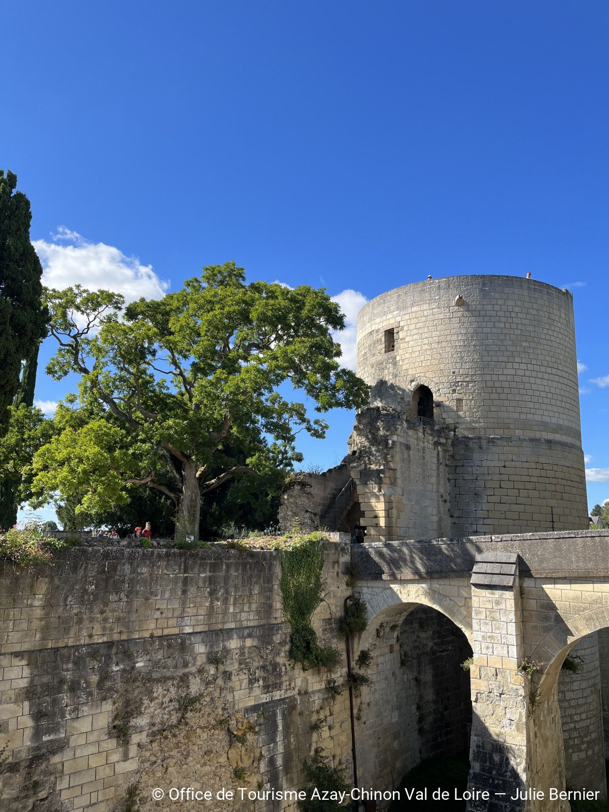 Chinon